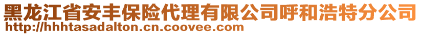 黑龍江省安豐保險代理有限公司呼和浩特分公司