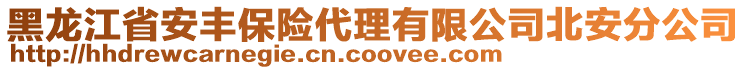 黑龍江省安豐保險代理有限公司北安分公司