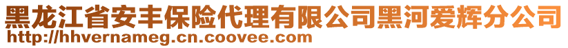 黑龍江省安豐保險代理有限公司黑河愛輝分公司