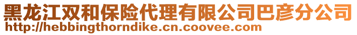 黑龍江雙和保險(xiǎn)代理有限公司巴彥分公司