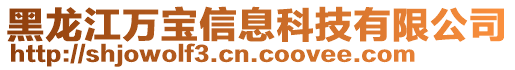 黑龍江萬寶信息科技有限公司