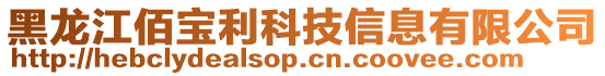 黑龍江佰寶利科技信息有限公司