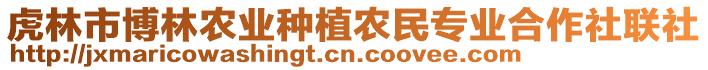 虎林市博林農(nóng)業(yè)種植農(nóng)民專業(yè)合作社聯(lián)社