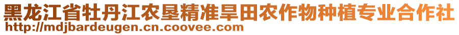 黑龍江省牡丹江農(nóng)墾精準(zhǔn)旱田農(nóng)作物種植專業(yè)合作社