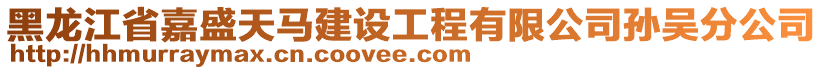 黑龍江省嘉盛天馬建設(shè)工程有限公司孫吳分公司