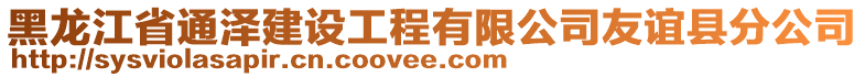 黑龍江省通澤建設(shè)工程有限公司友誼縣分公司