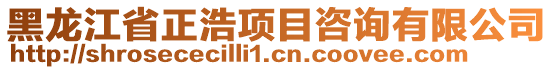 黑龍江省正浩項目咨詢有限公司