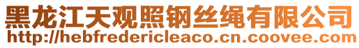 黑龍江天觀照鋼絲繩有限公司
