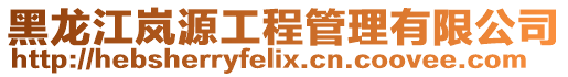 黑龍江嵐源工程管理有限公司