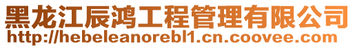 黑龍江辰鴻工程管理有限公司