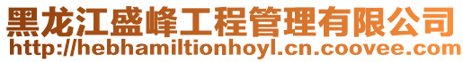 黑龍江盛峰工程管理有限公司