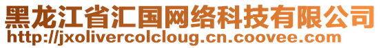 黑龍江省匯國網絡科技有限公司