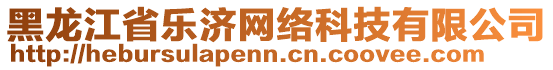 黑龍江省樂濟(jì)網(wǎng)絡(luò)科技有限公司