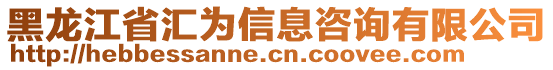 黑龍江省匯為信息咨詢有限公司