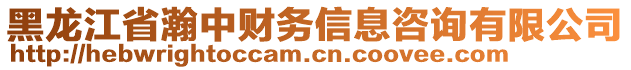 黑龍江省瀚中財務(wù)信息咨詢有限公司