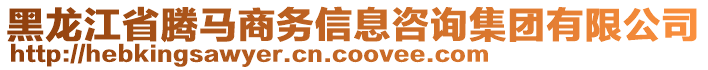 黑龙江省腾马商务信息咨询集团有限公司
