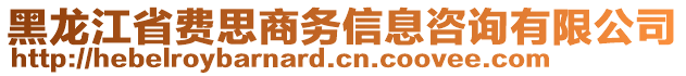 黑龍江省費(fèi)思商務(wù)信息咨詢有限公司