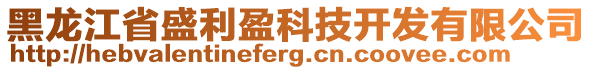 黑龍江省盛利盈科技開發(fā)有限公司