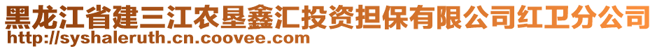 黑龍江省建三江農(nóng)墾鑫匯投資擔保有限公司紅衛(wèi)分公司