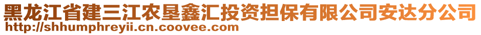 黑龍江省建三江農(nóng)墾鑫匯投資擔(dān)保有限公司安達(dá)分公司