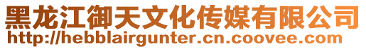 黑龍江御天文化傳媒有限公司