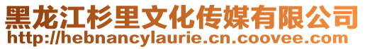 黑龍江杉里文化傳媒有限公司