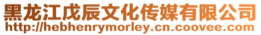 黑龍江戊辰文化傳媒有限公司