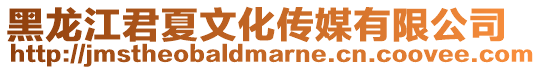 黑龍江君夏文化傳媒有限公司