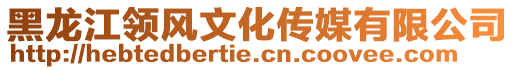 黑龍江領(lǐng)風(fēng)文化傳媒有限公司