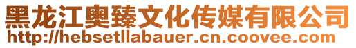 黑龍江奧臻文化傳媒有限公司