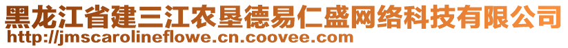 黑龍江省建三江農(nóng)墾德易仁盛網(wǎng)絡(luò)科技有限公司