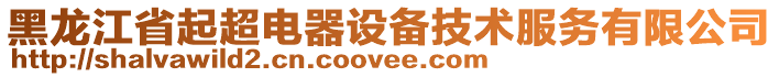 黑龍江省起超電器設備技術服務有限公司