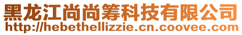 黑龍江尚尚籌科技有限公司