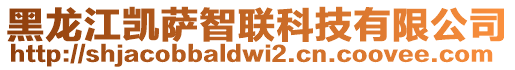 黑龙江凯萨智联科技有限公司