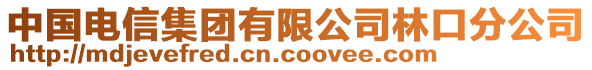 中國電信集團有限公司林口分公司