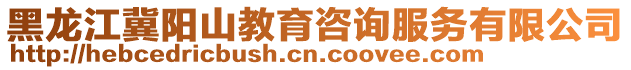 黑龍江冀陽山教育咨詢服務有限公司