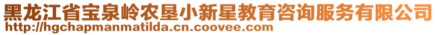 黑龙江省宝泉岭农垦小新星教育咨询服务有限公司