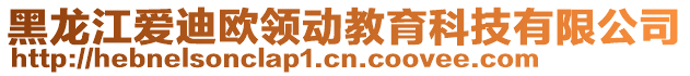 黑龍江愛迪歐領(lǐng)動教育科技有限公司