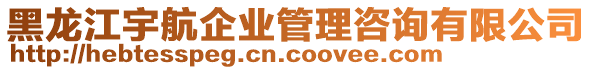 黑龍江宇航企業(yè)管理咨詢有限公司