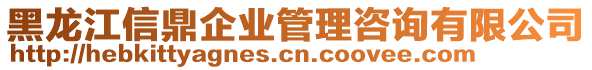 黑龍江信鼎企業(yè)管理咨詢(xún)有限公司