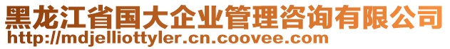 黑龍江省國(guó)大企業(yè)管理咨詢有限公司