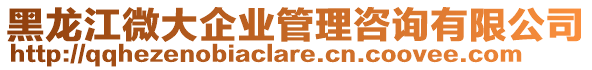 黑龍江微大企業(yè)管理咨詢有限公司