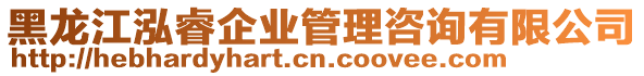 黑龍江泓睿企業(yè)管理咨詢有限公司