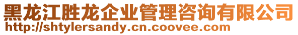 黑龍江勝龍企業(yè)管理咨詢有限公司