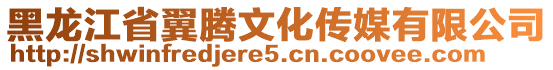 黑龍江省翼騰文化傳媒有限公司