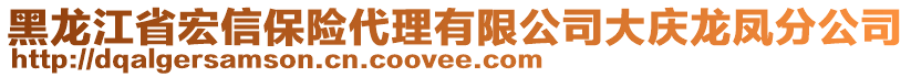 黑龍江省宏信保險代理有限公司大慶龍鳳分公司