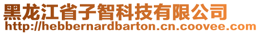 黑龍江省子智科技有限公司