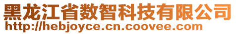 黑龍江省數(shù)智科技有限公司