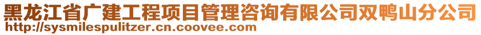 黑龍江省廣建工程項目管理咨詢有限公司雙鴨山分公司