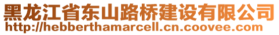 黑龍江省東山路橋建設(shè)有限公司